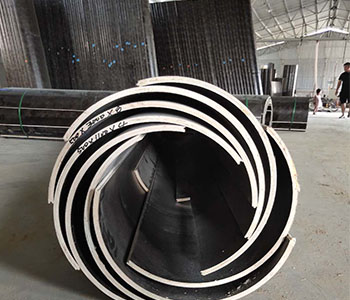 RʏŽAģ嶨,RʏAģ,SԒ