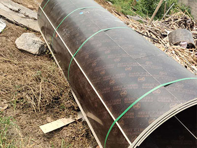 Aľģ嶨,ľ|(zh)Aģ,SԒ